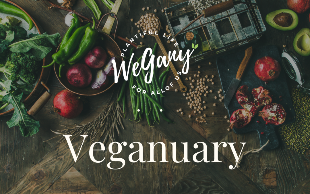 Your Guide to a Game-Changing Veganuary